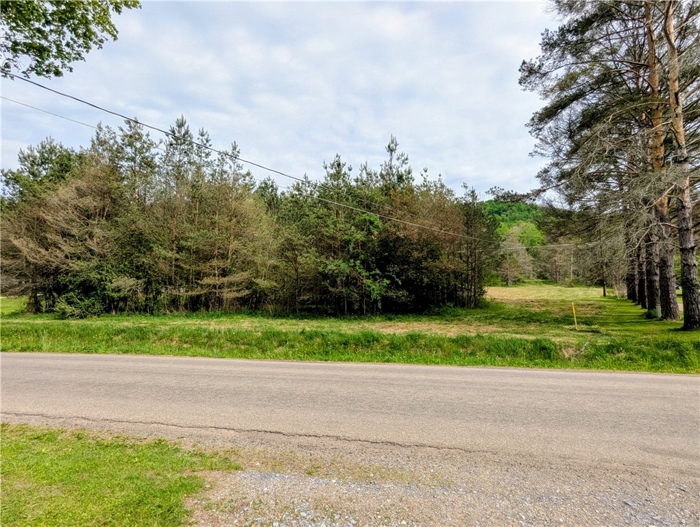 0 Two 2 Mile Road Port Allegany, PA 16743 - Photo 28 of 29