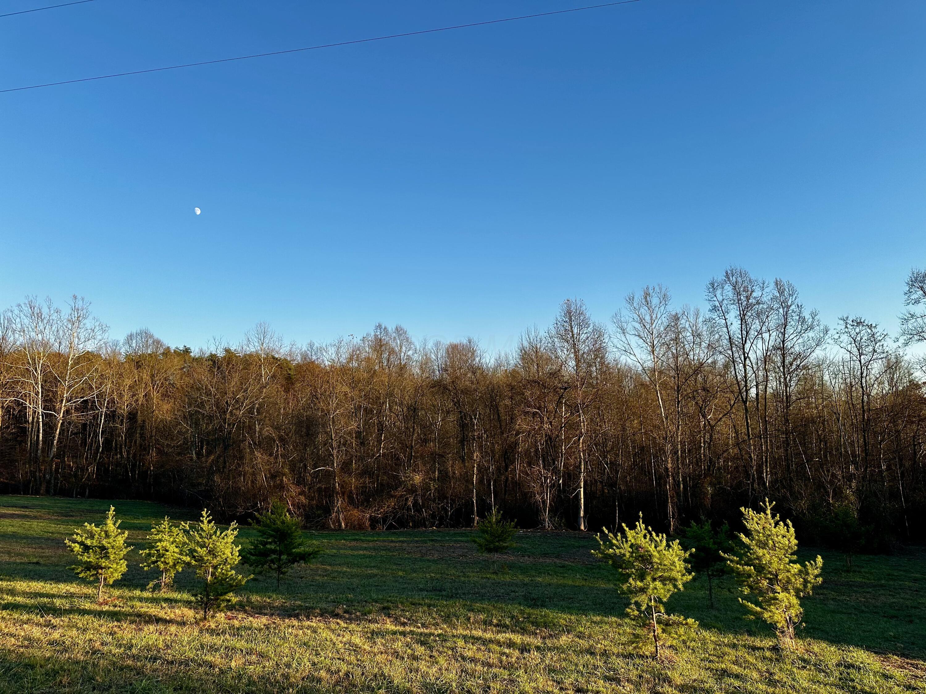 7374 Dutch Ridge Road, Unit TRACT 2 AT DUTCH RIDGE) New Straitsville, OH 43766 - Photo 16 of 31 20241111_214409779_iOS