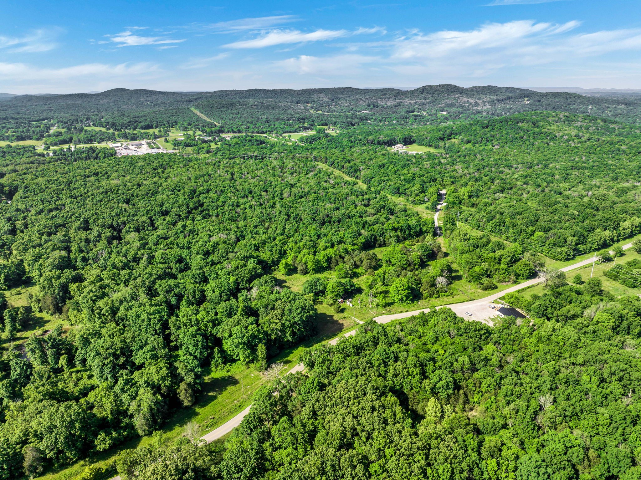 5471 Shores Road Murfreesboro, TN 37128 - Photo 11 of 14 a view of a lush green forest with lots of trees