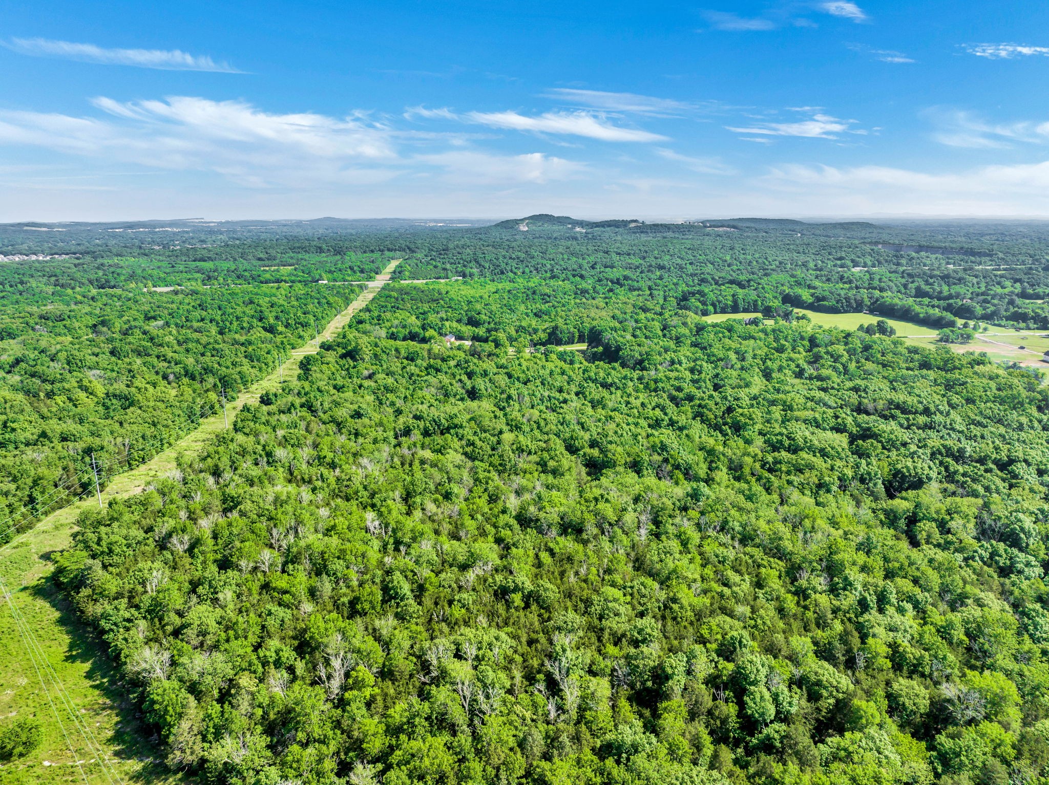5471 Shores Road Murfreesboro, TN 37128 - Photo 5 of 14 a view of a big yard with plants and a large tree