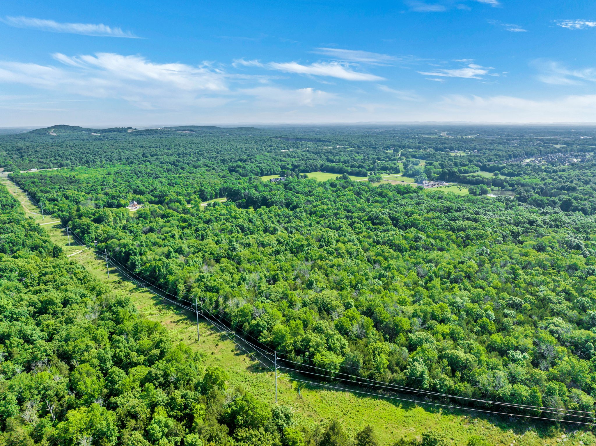5471 Shores Road Murfreesboro, TN 37128 - Photo 6 of 14 a view of a green field with lots of bushes