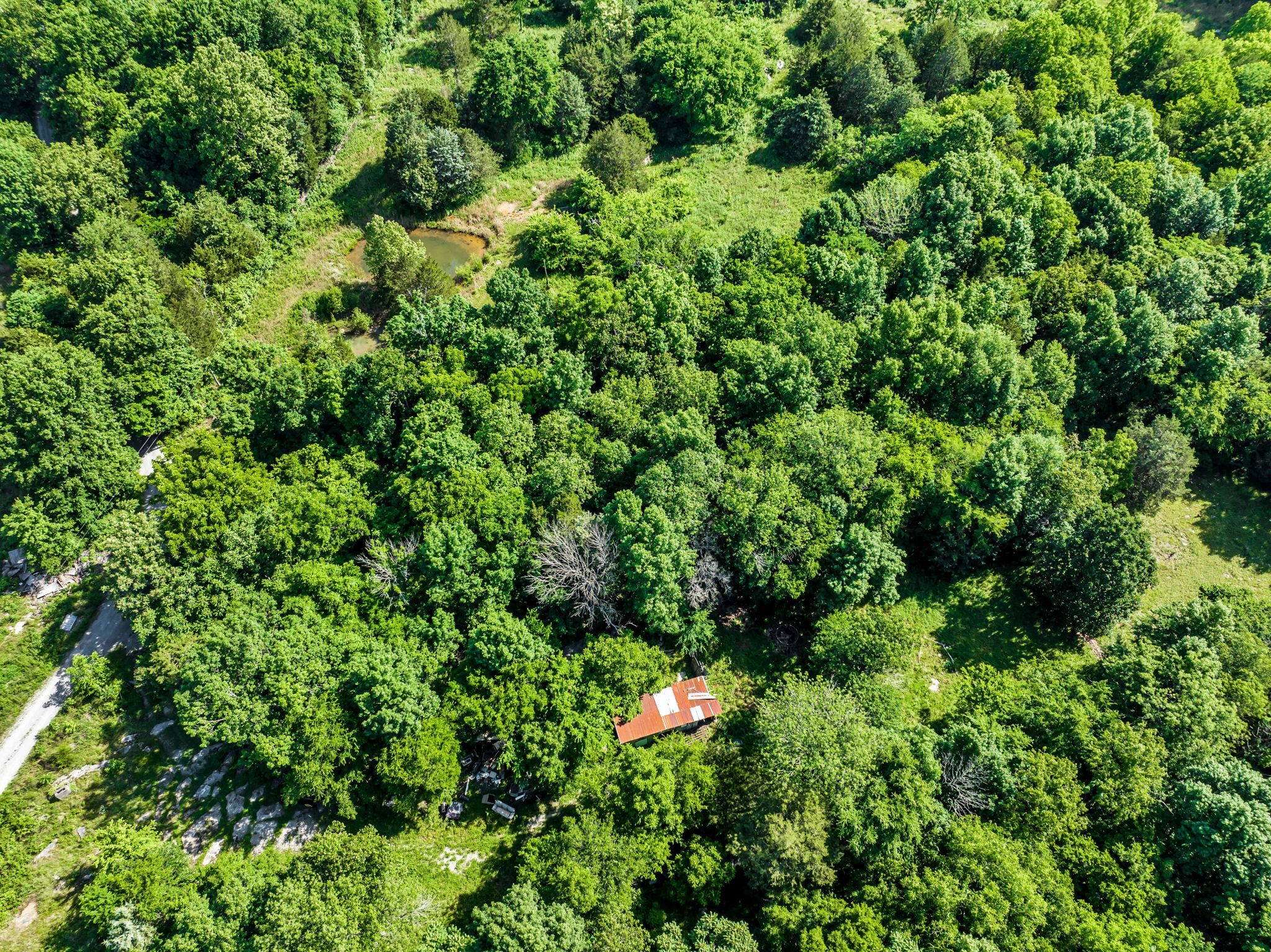 5471 Shores Road Murfreesboro, TN 37128 - Photo 8 of 14 an aerial view of residential house with outdoor space and trees all around
