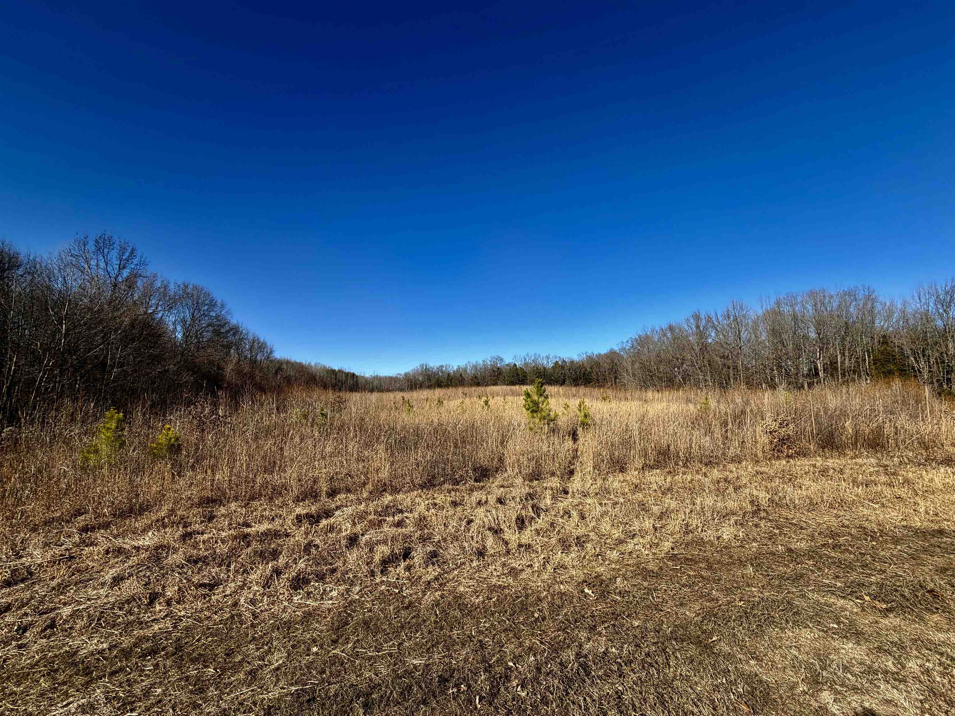 40.29-ac Old Brownsville Road Somerville, TN 38068 - Photo 12 of 39 a view of mountain with sunset