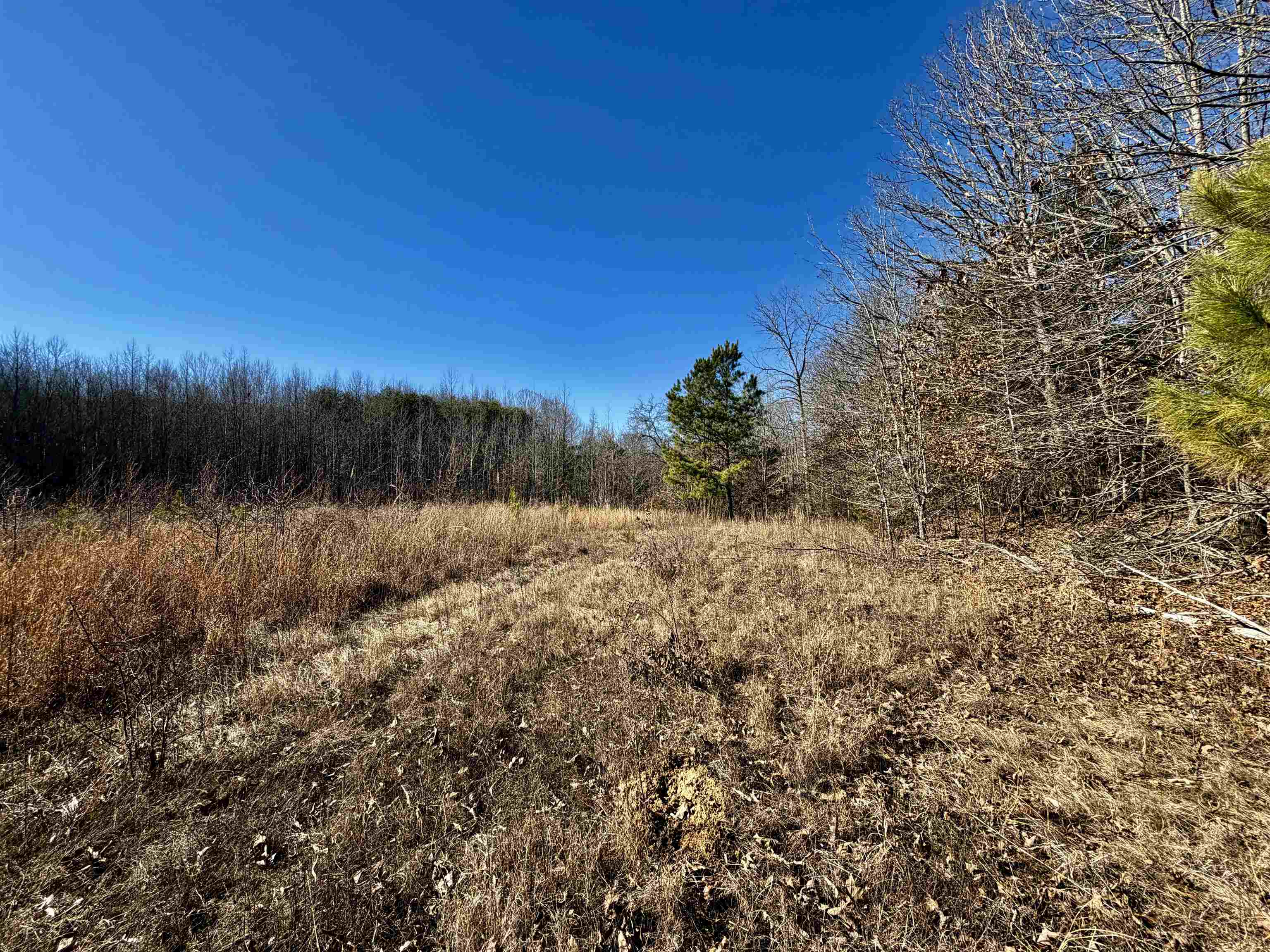 40.29-ac Old Brownsville Road Somerville, TN 38068 - Photo 18 of 39