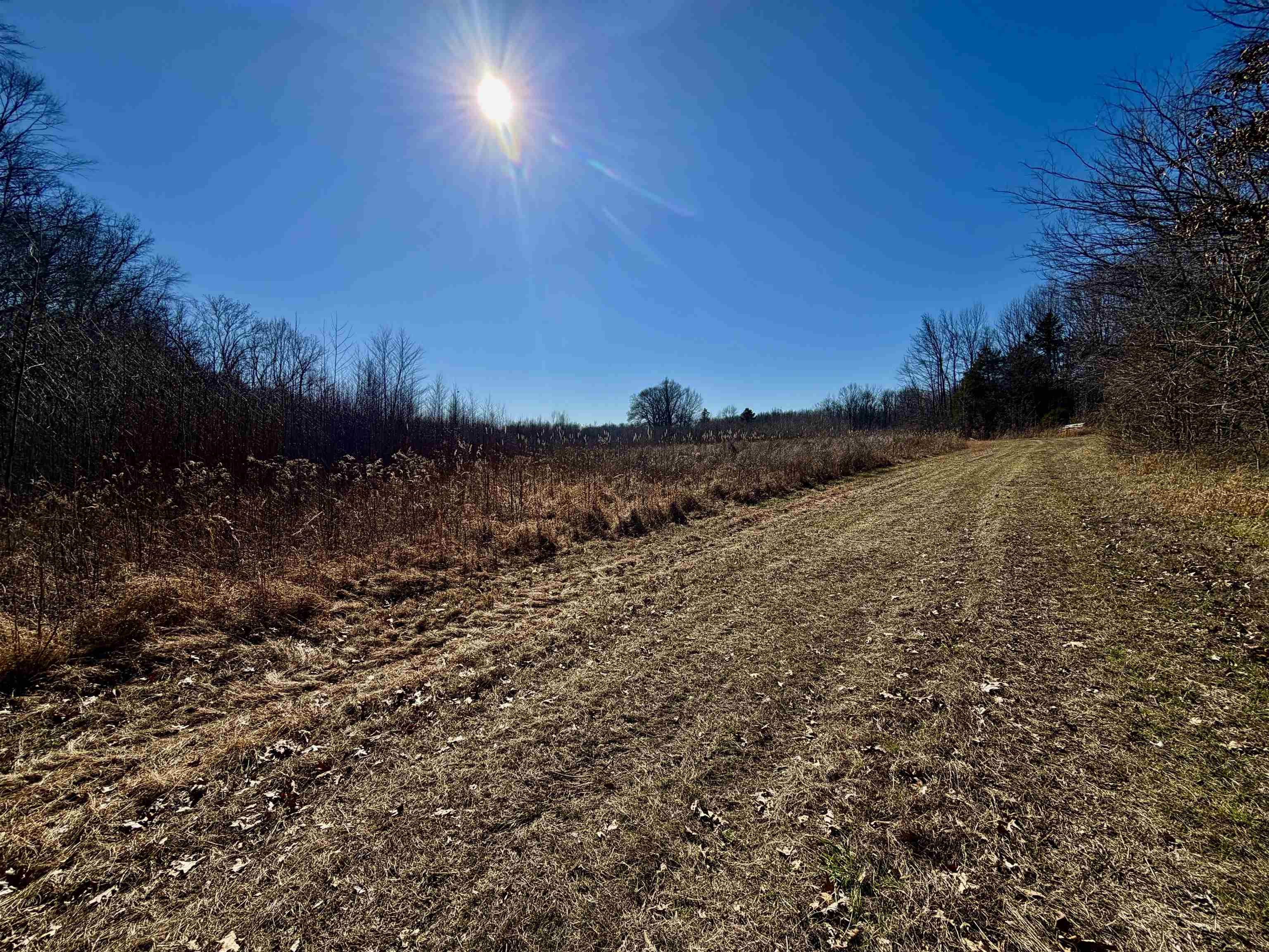 40.29-ac Old Brownsville Road Somerville, TN 38068 - Photo 2 of 39 a view of a field with an ocean