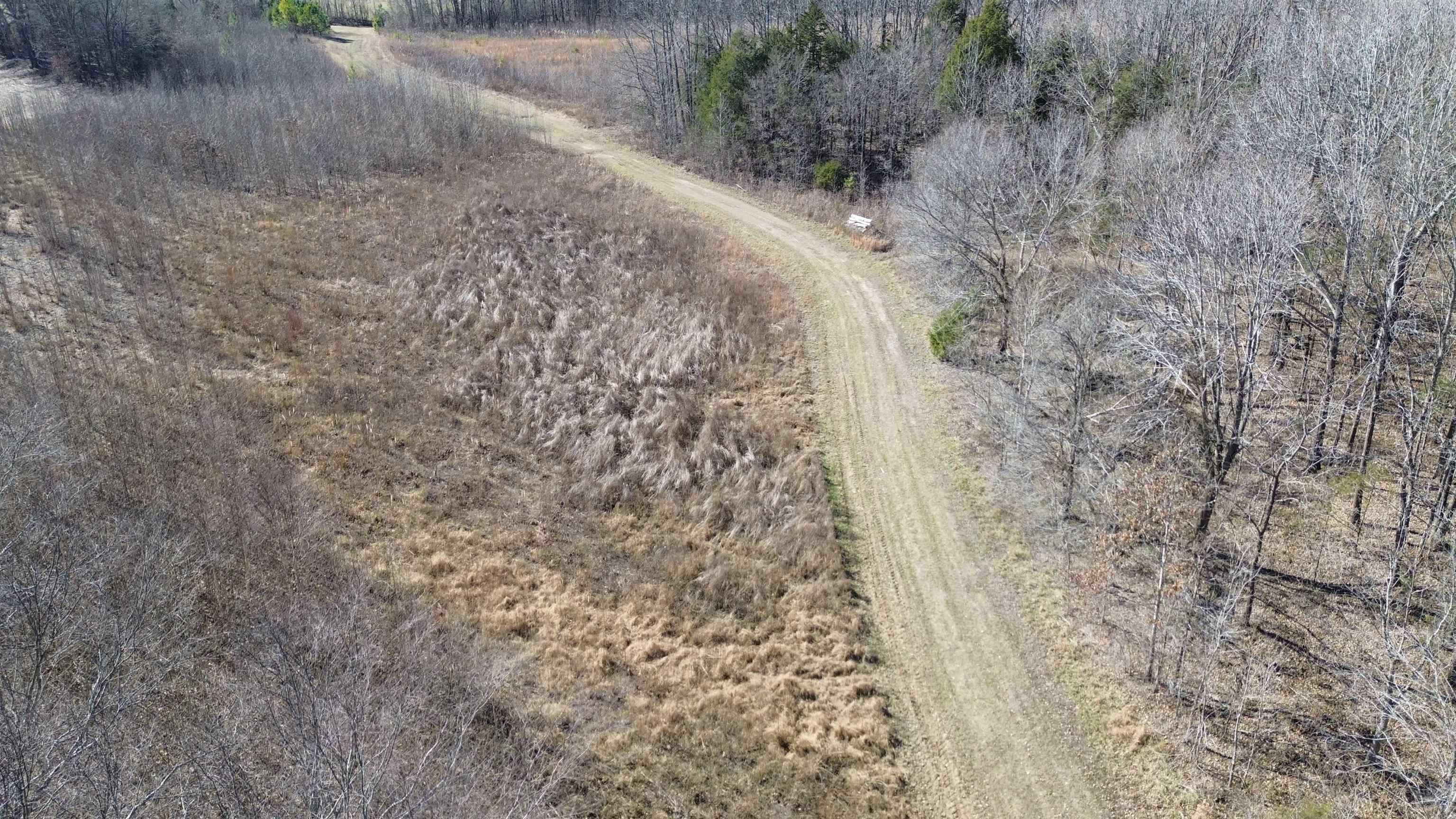 40.29-ac Old Brownsville Road Somerville, TN 38068 - Photo 23 of 39 a view of a dry yard with trees