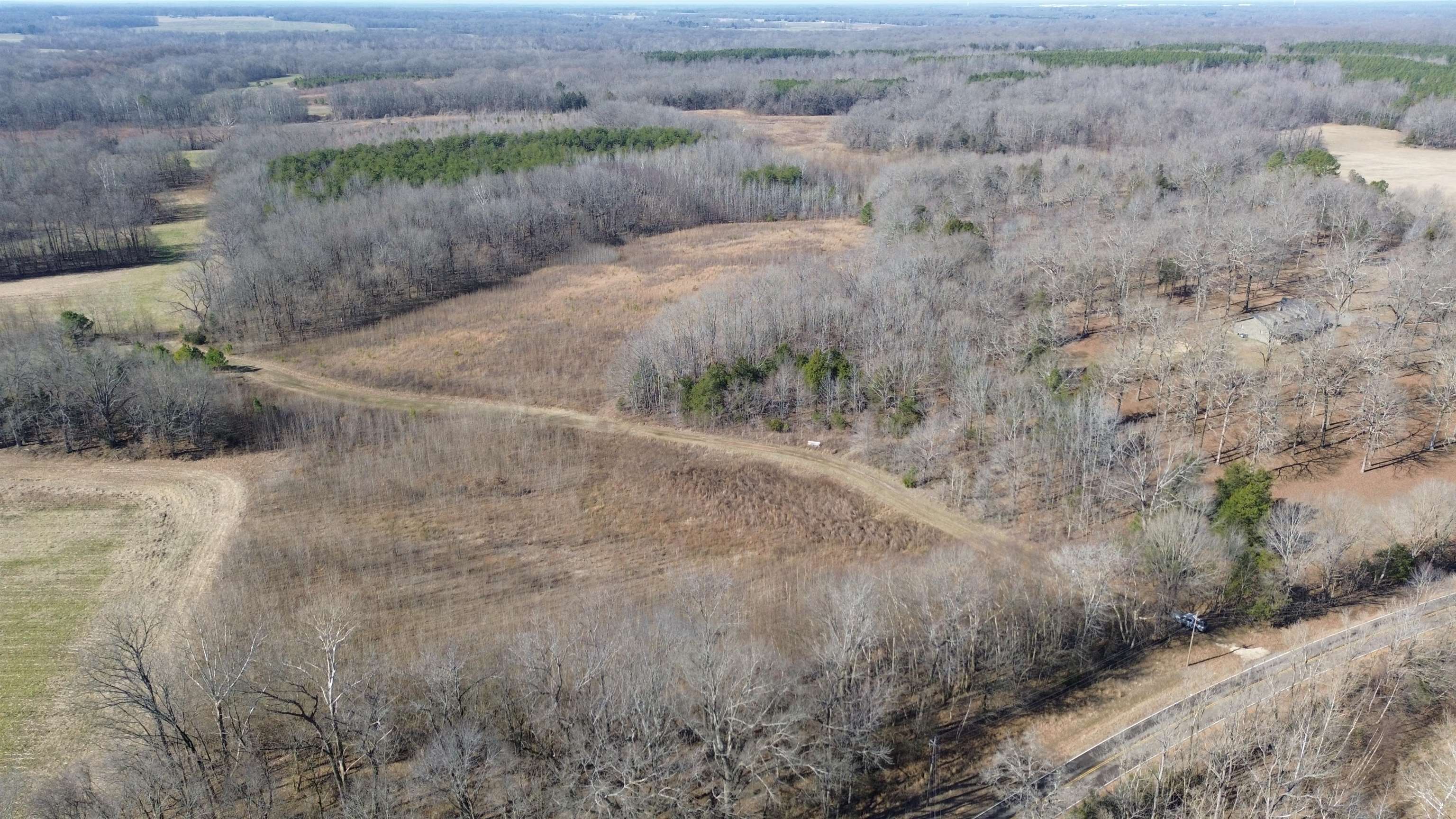 40.29-ac Old Brownsville Road Somerville, TN 38068 - Photo 24 of 39 a view of a dry yard with wooden fence