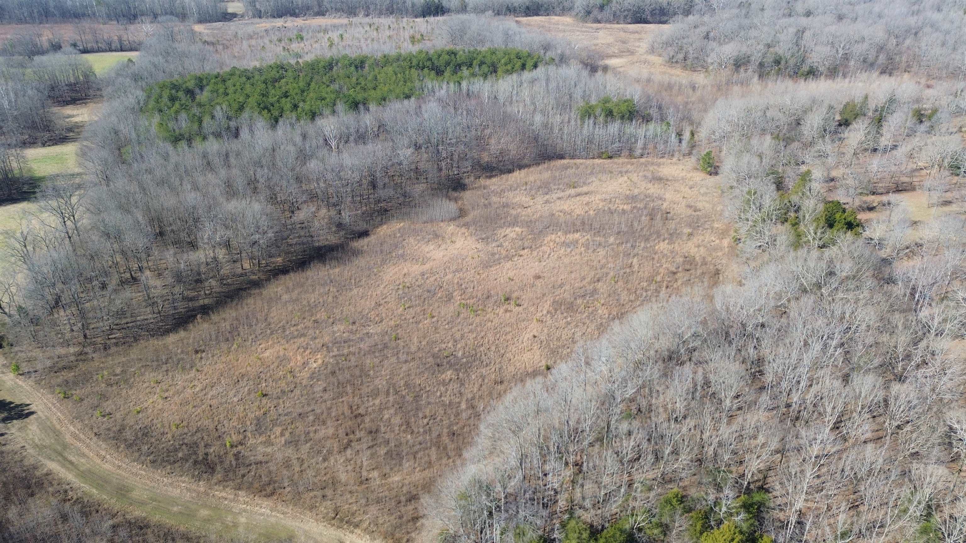 40.29-ac Old Brownsville Road Somerville, TN 38068 - Photo 25 of 39 a view of a dry yard with green space