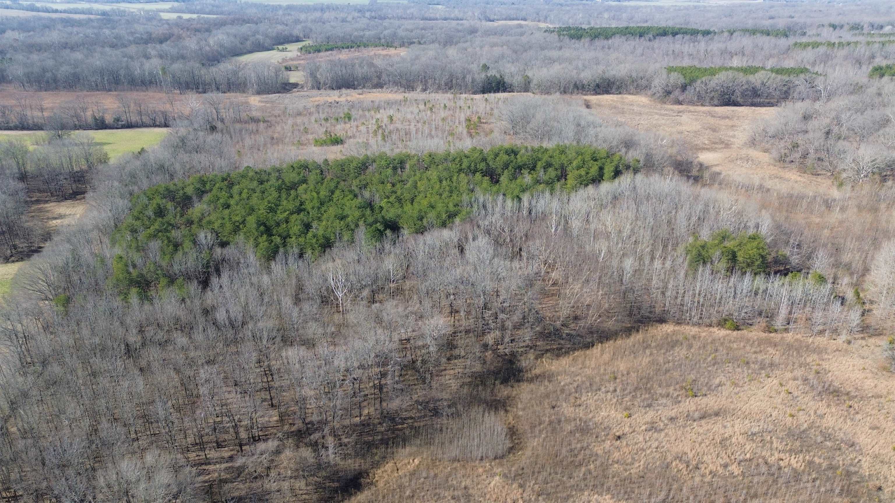 40.29-ac Old Brownsville Road Somerville, TN 38068 - Photo 26 of 39 a view of a yard