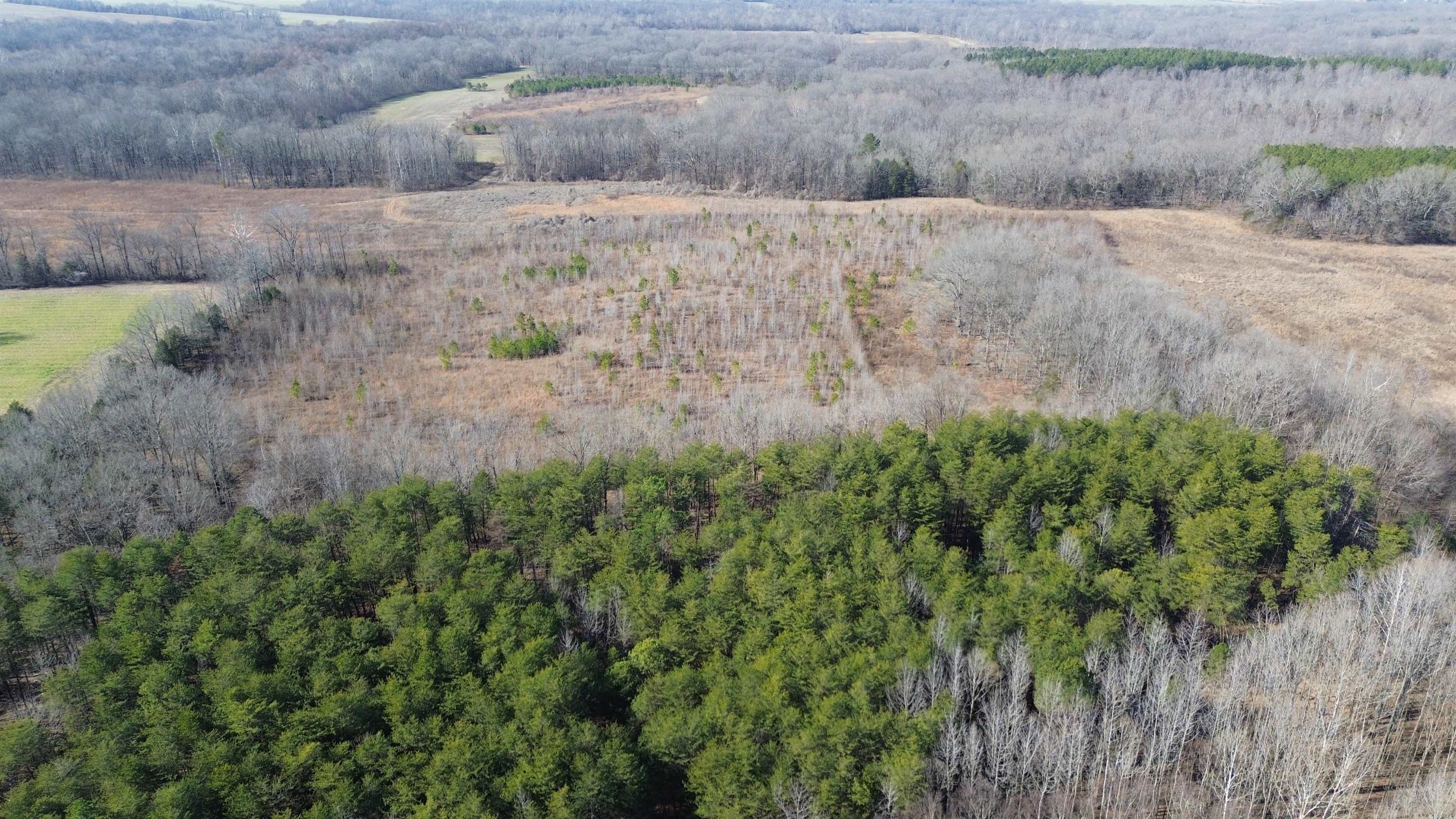 40.29-ac Old Brownsville Road Somerville, TN 38068 - Photo 27 of 39 a view of a dry yard