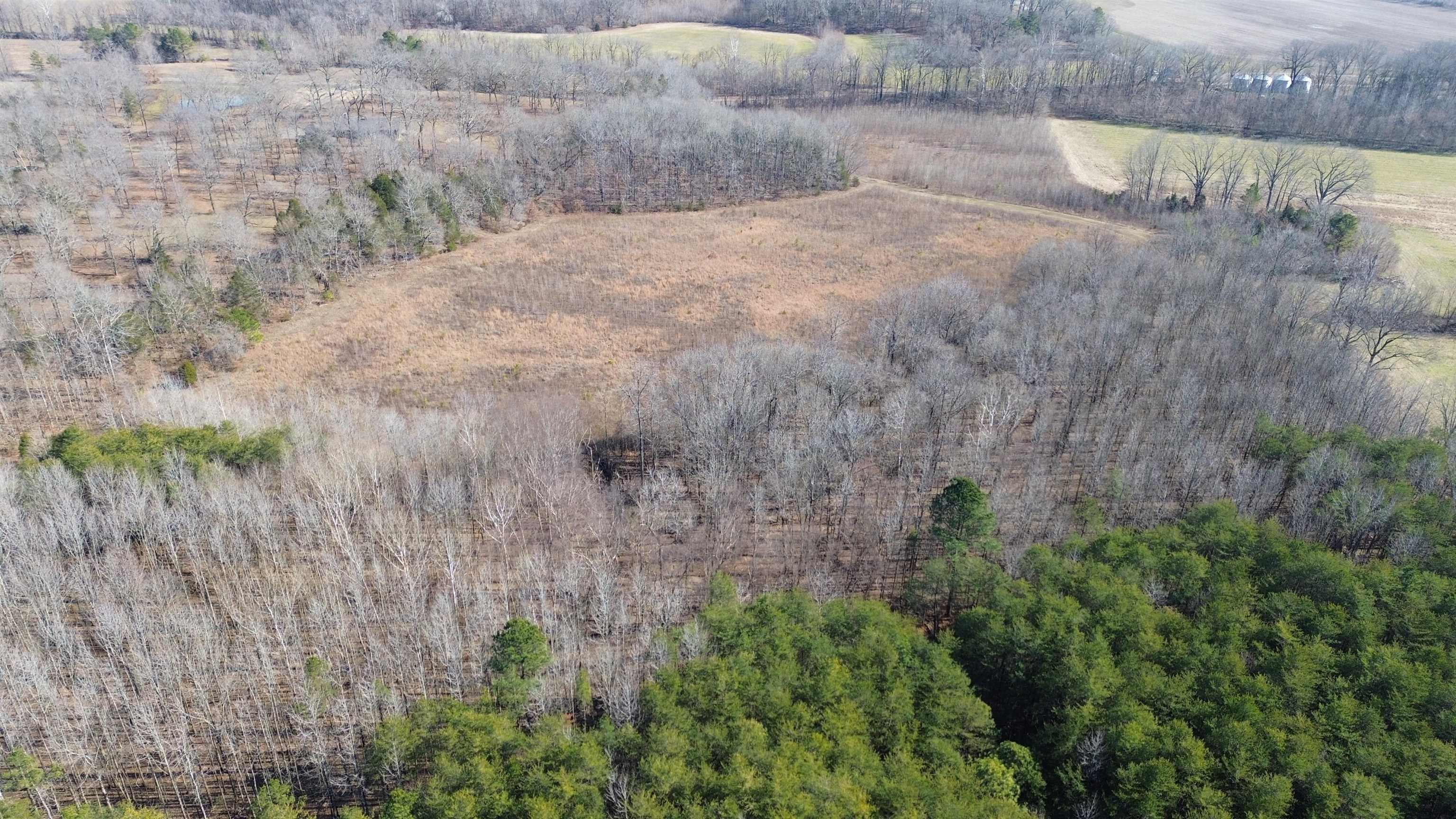 40.29-ac Old Brownsville Road Somerville, TN 38068 - Photo 31 of 39 a view of a backyard