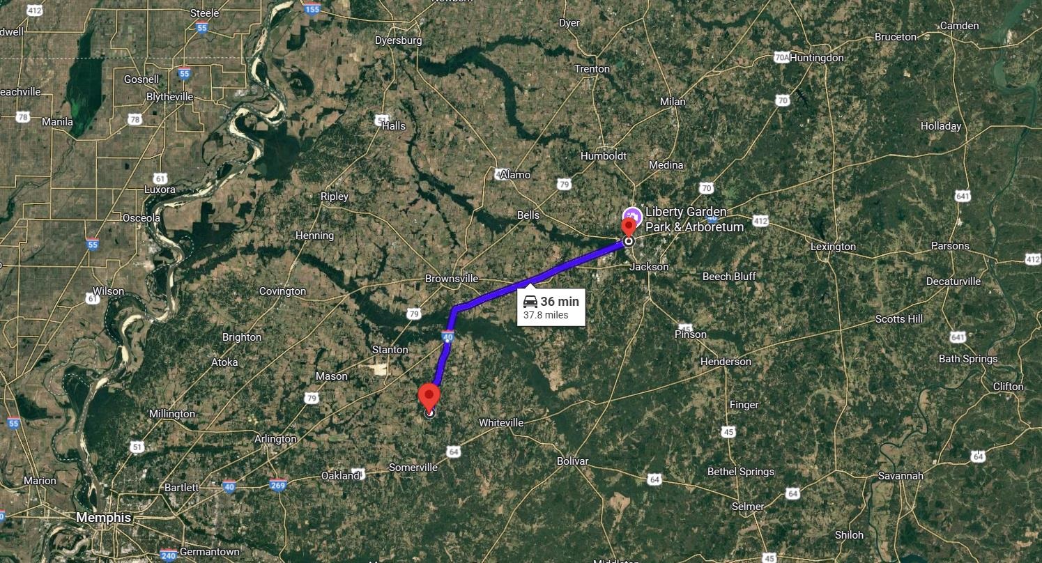 40.29-ac Old Brownsville Road Somerville, TN 38068 - Photo 34 of 39
