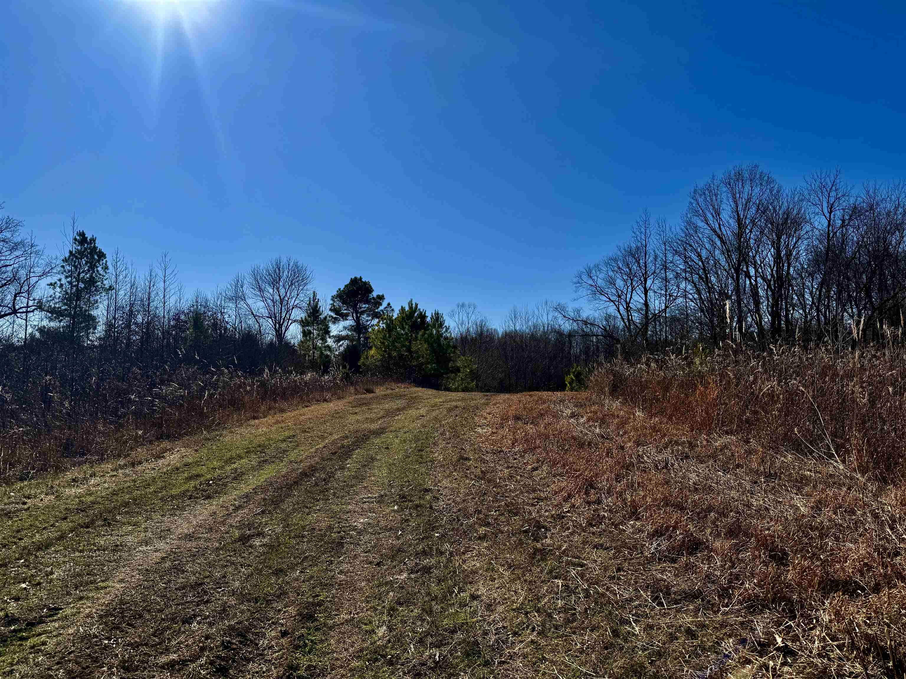 40.29-ac Old Brownsville Road Somerville, TN 38068 - Photo 4 of 39