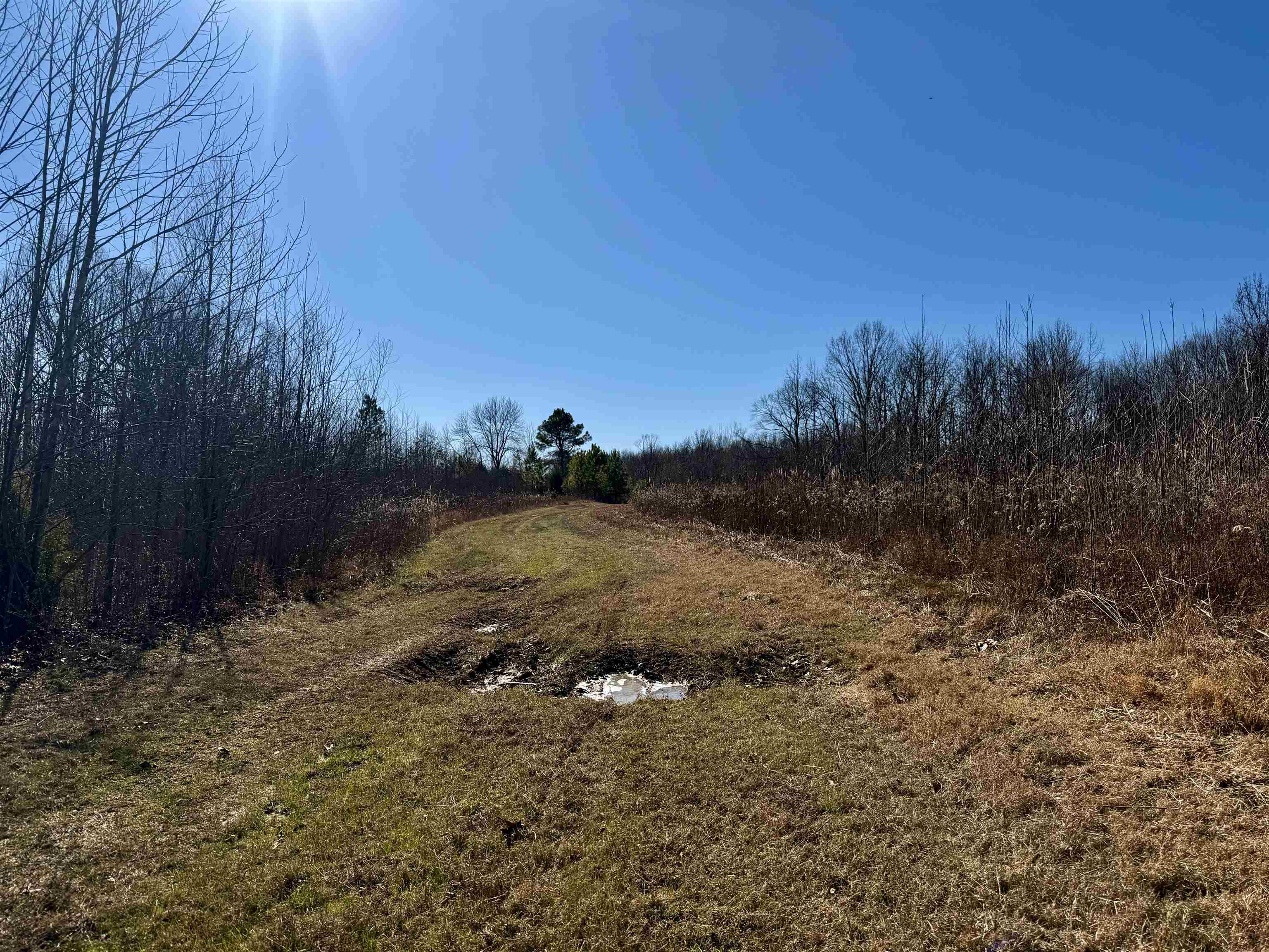 40.29-ac Old Brownsville Road Somerville, TN 38068 - Photo 5 of 39