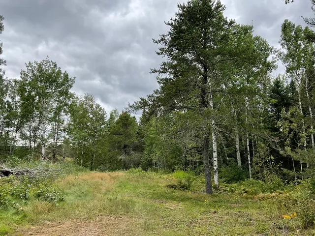 $2,000,000 | 163 Pancore Lake Road, Tofte, MN 55615