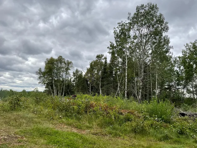 $2,000,000 | 163 Pancore Lake Road, Tofte, MN 55615