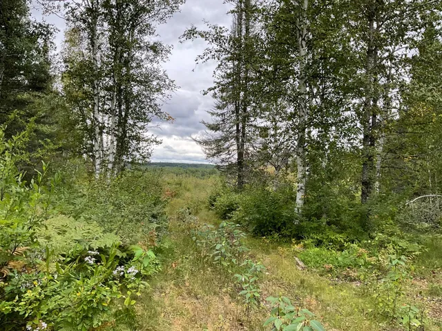 $2,000,000 | 163 Pancore Lake Road, Tofte, MN 55615