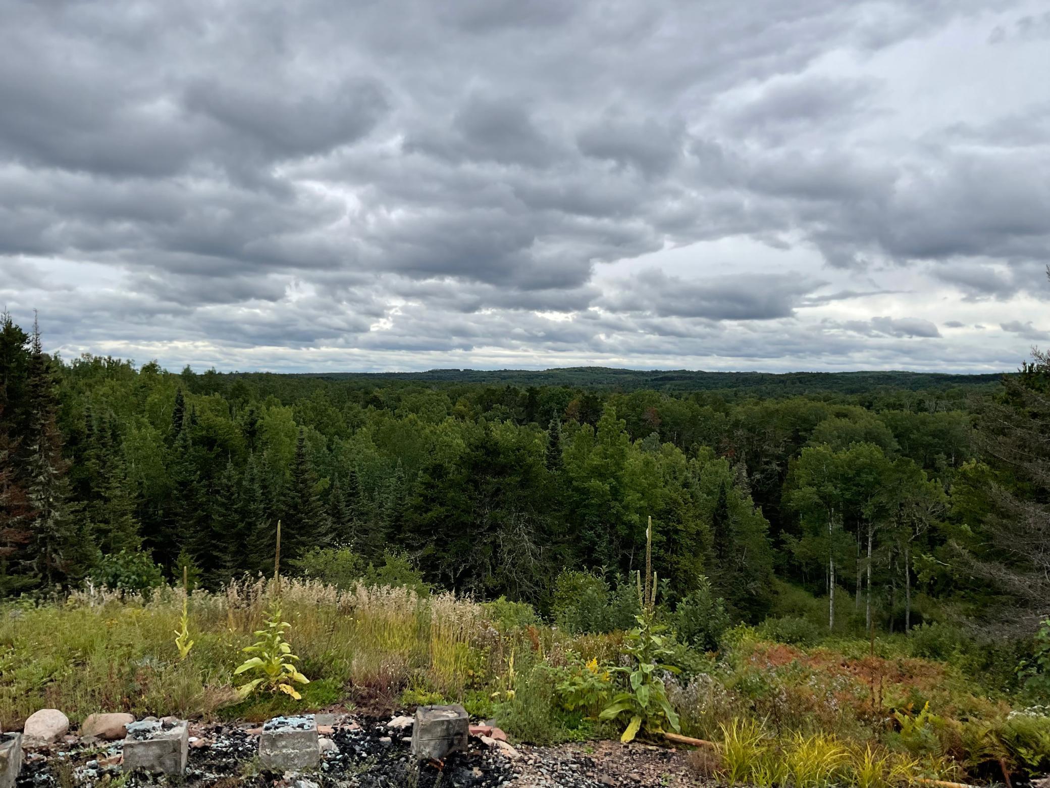 163 Pancore Lake Road Tofte, MN 55615 - Photo 5 of 5