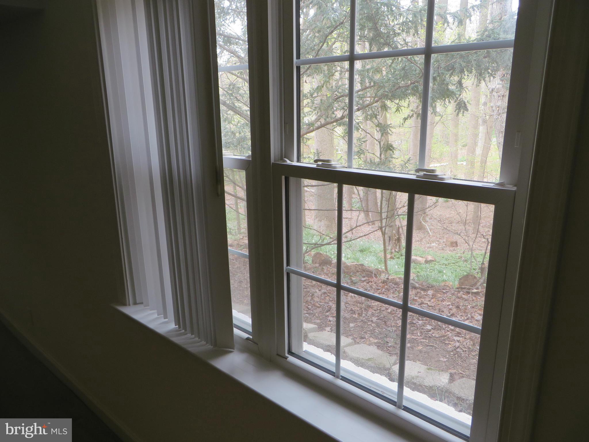 10332 Parkman Road Silver Spring, MD 20903 - Photo 21 of 27 View