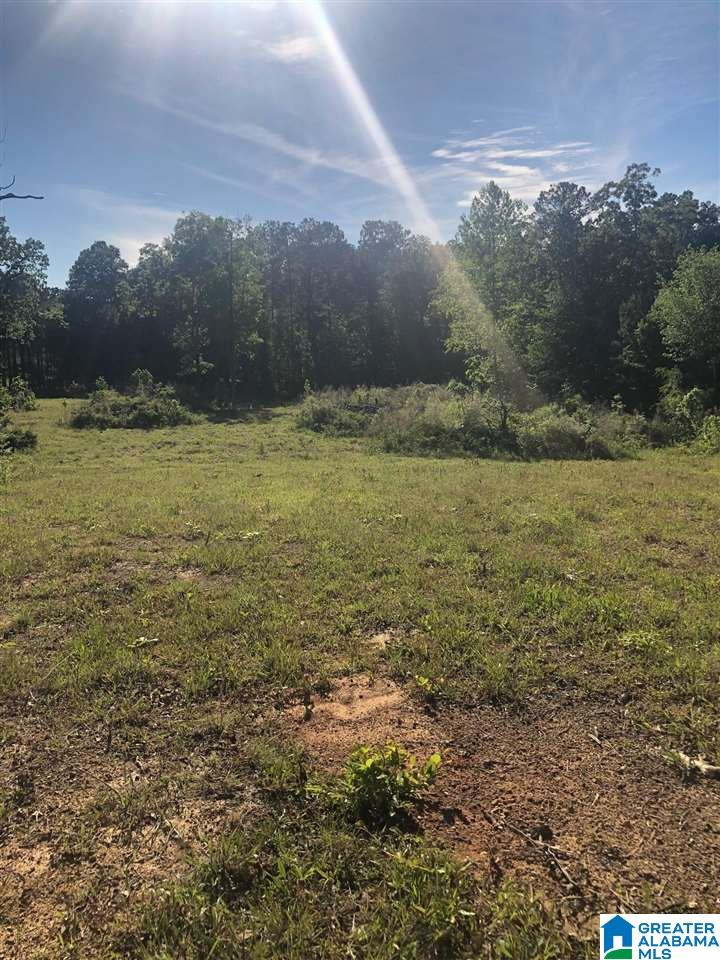 5885 Coleman Lake Road McCalla, AL 35111 - Photo 7 of 8