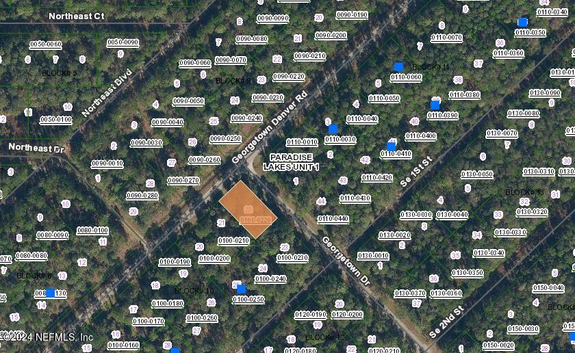 Lot 22 Georgetown Denver Road Georgetown, FL 32139 - Photo 1 of 1 County Map