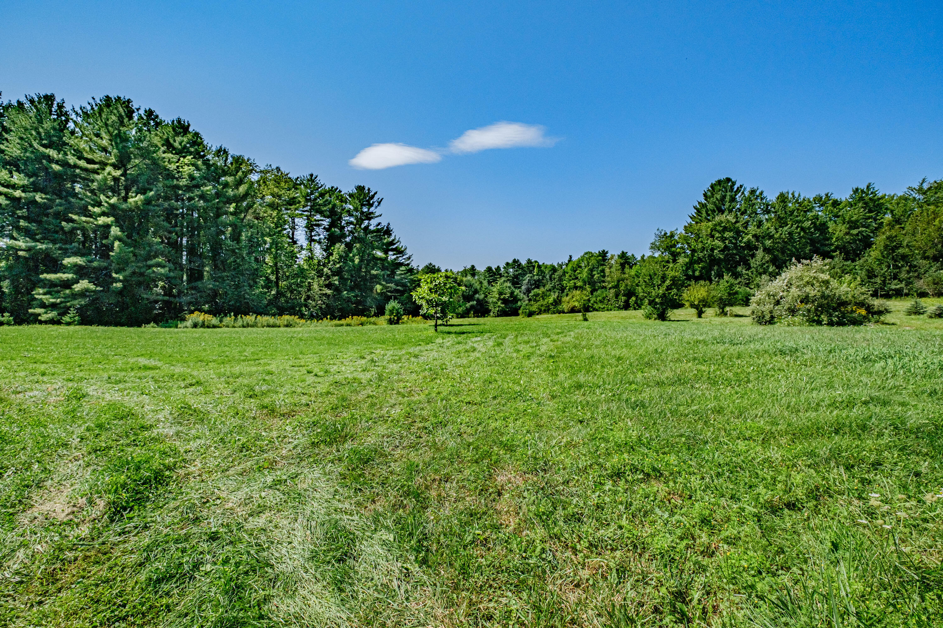 250 Main Street Cumberland, ME 04021 - Photo 39 of 41 20210826mvht-62080