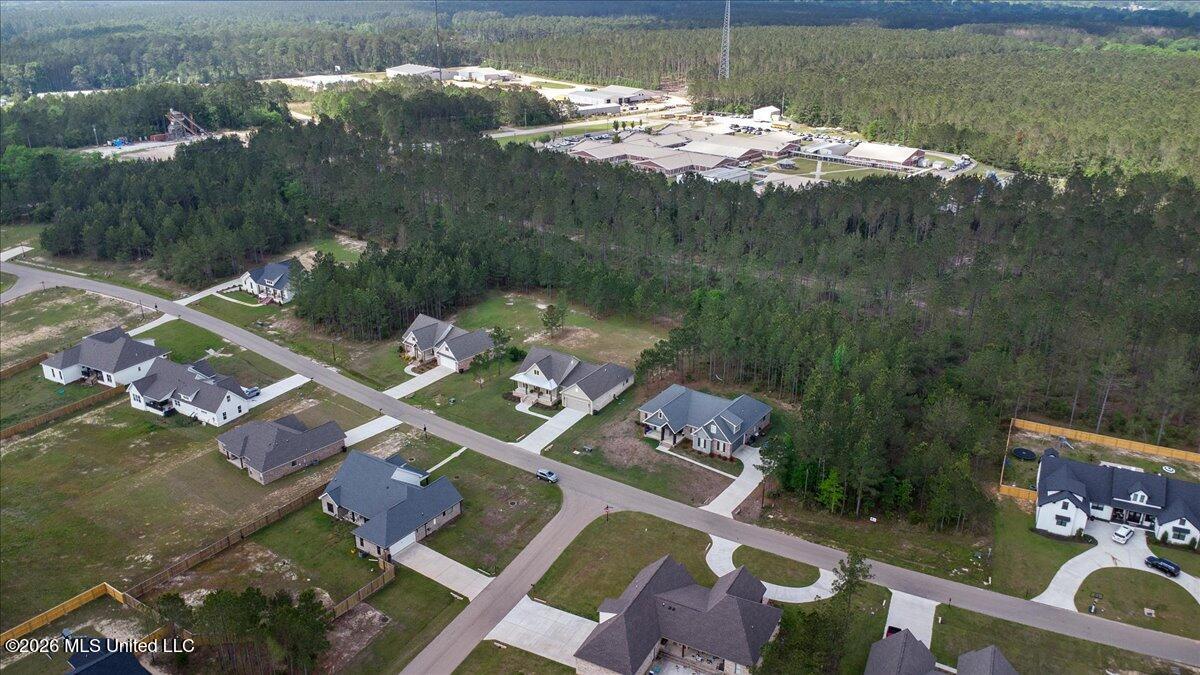 29 Pipestone Pass Sumrall, MS 39482 - Photo 41 of 45 45-DJI_0336