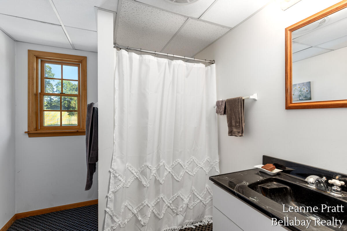 875 East Sager Road Hastings, MI 49058 - Photo 30 of 37 875-E-Sager_024