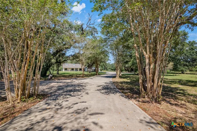 a view of a tree in the middle of a yard