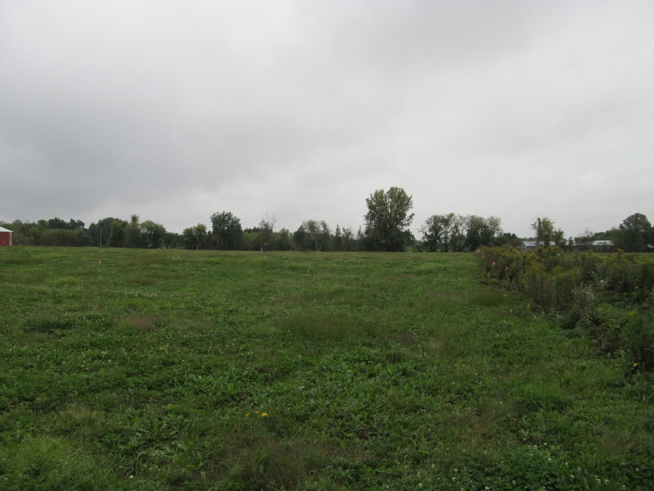 Xxx 3rd Avenue Deer Park, WI 54007 - Photo 4 of 10