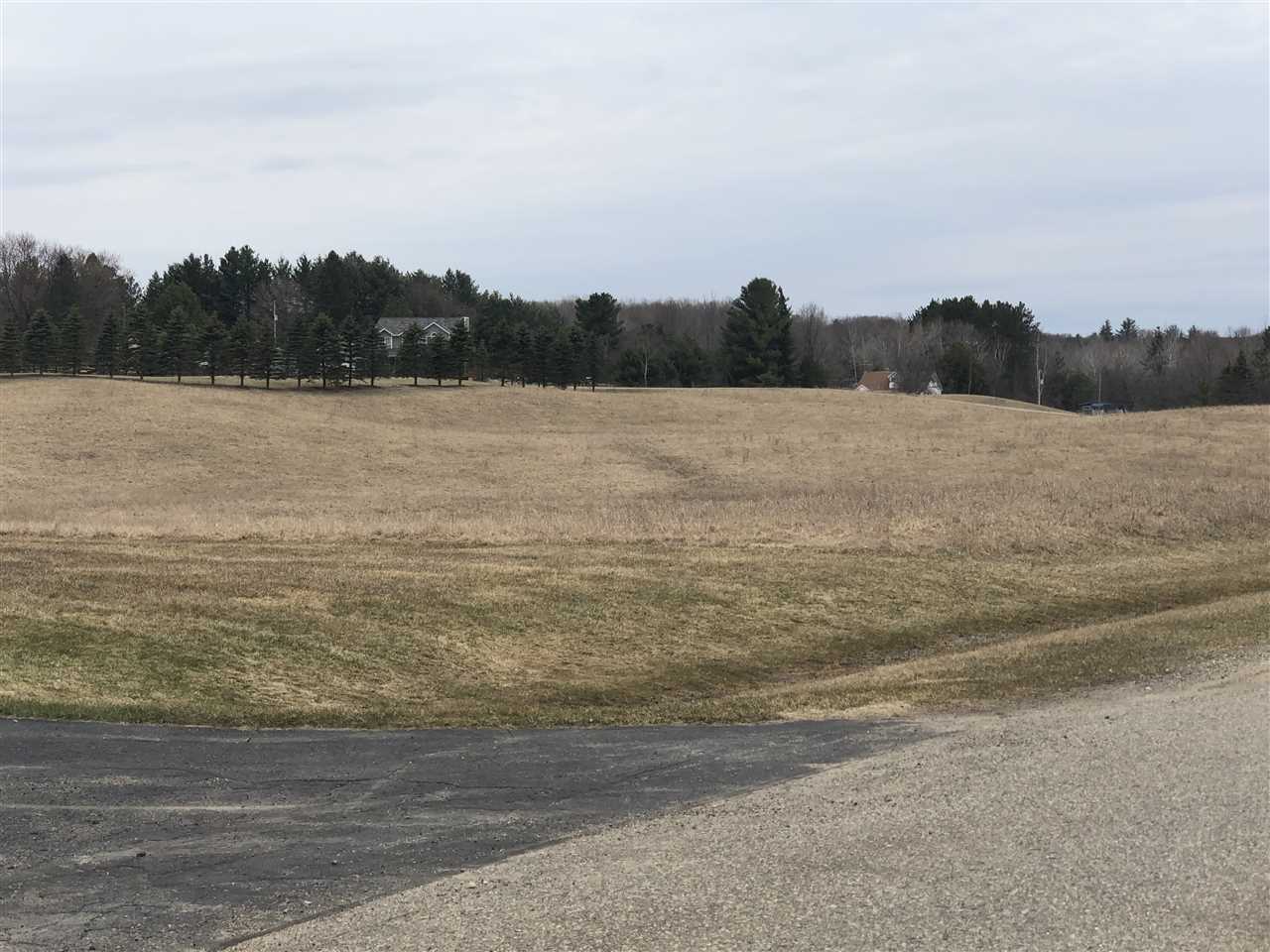 0 South Dow Road West Branch, MI 48661 - Photo 10 of 10