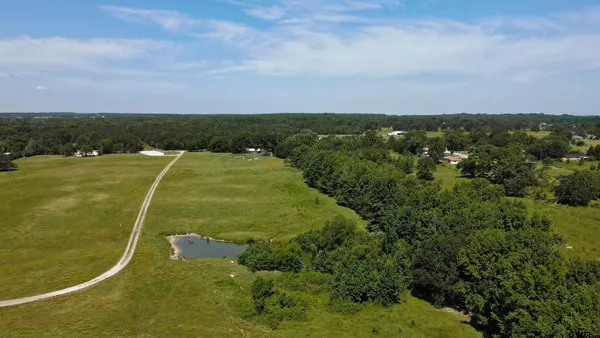 a view of a yard with large trees