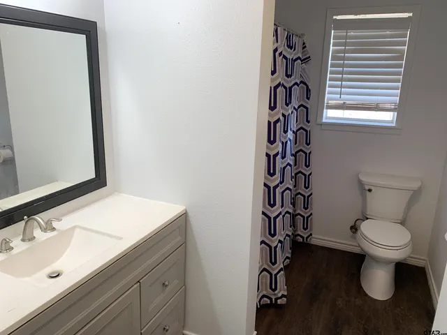 a bathroom with a sink and a toilet