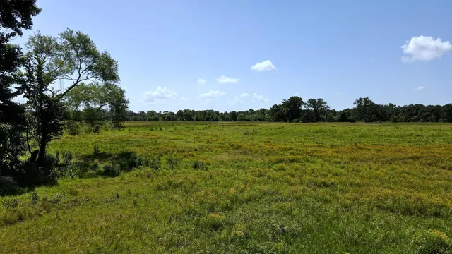 a view of an ocean from a yard