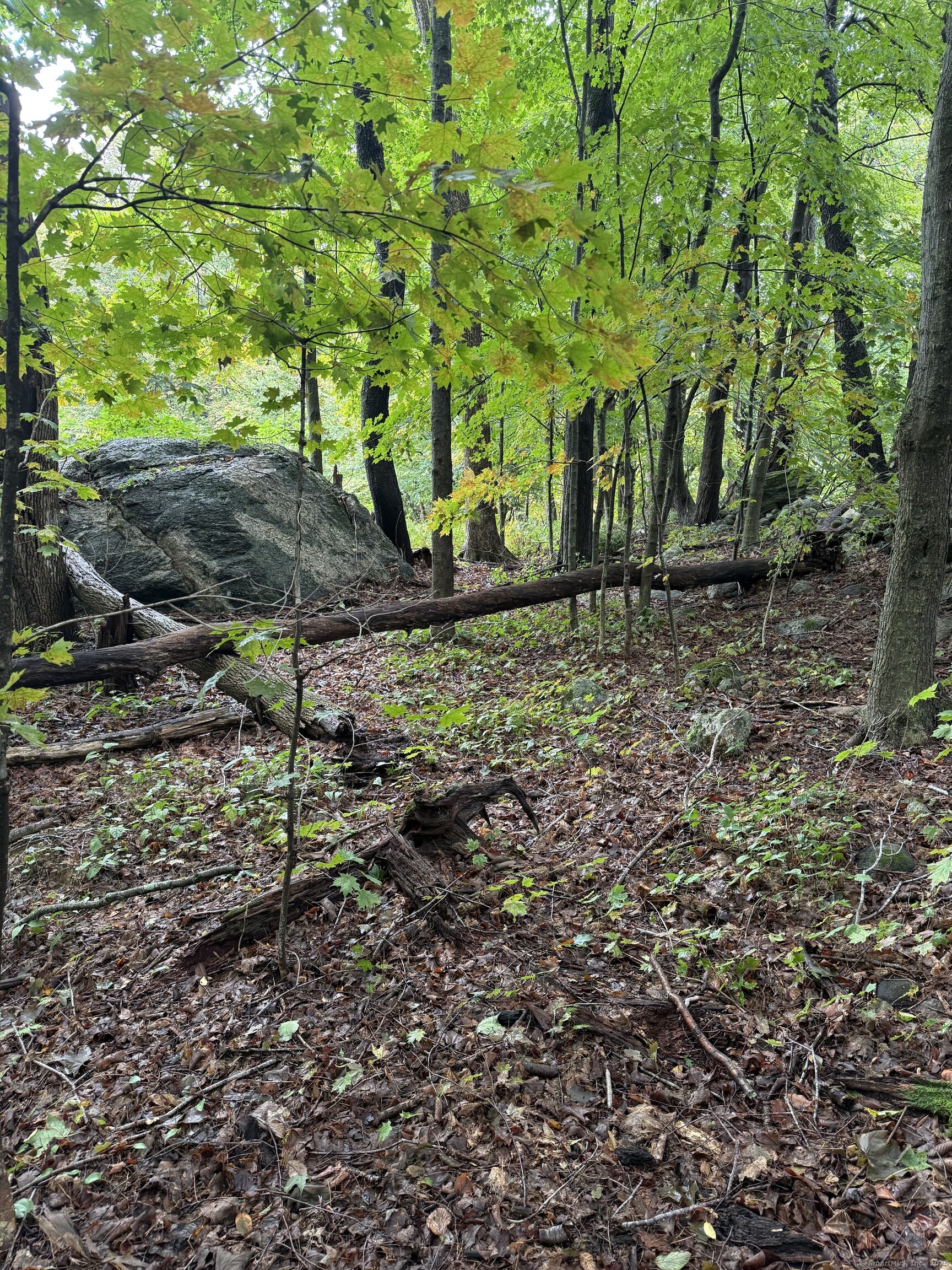 208 S Road New Hartford, CT 06057 - Photo 2 of 10 a view of outdoor space
