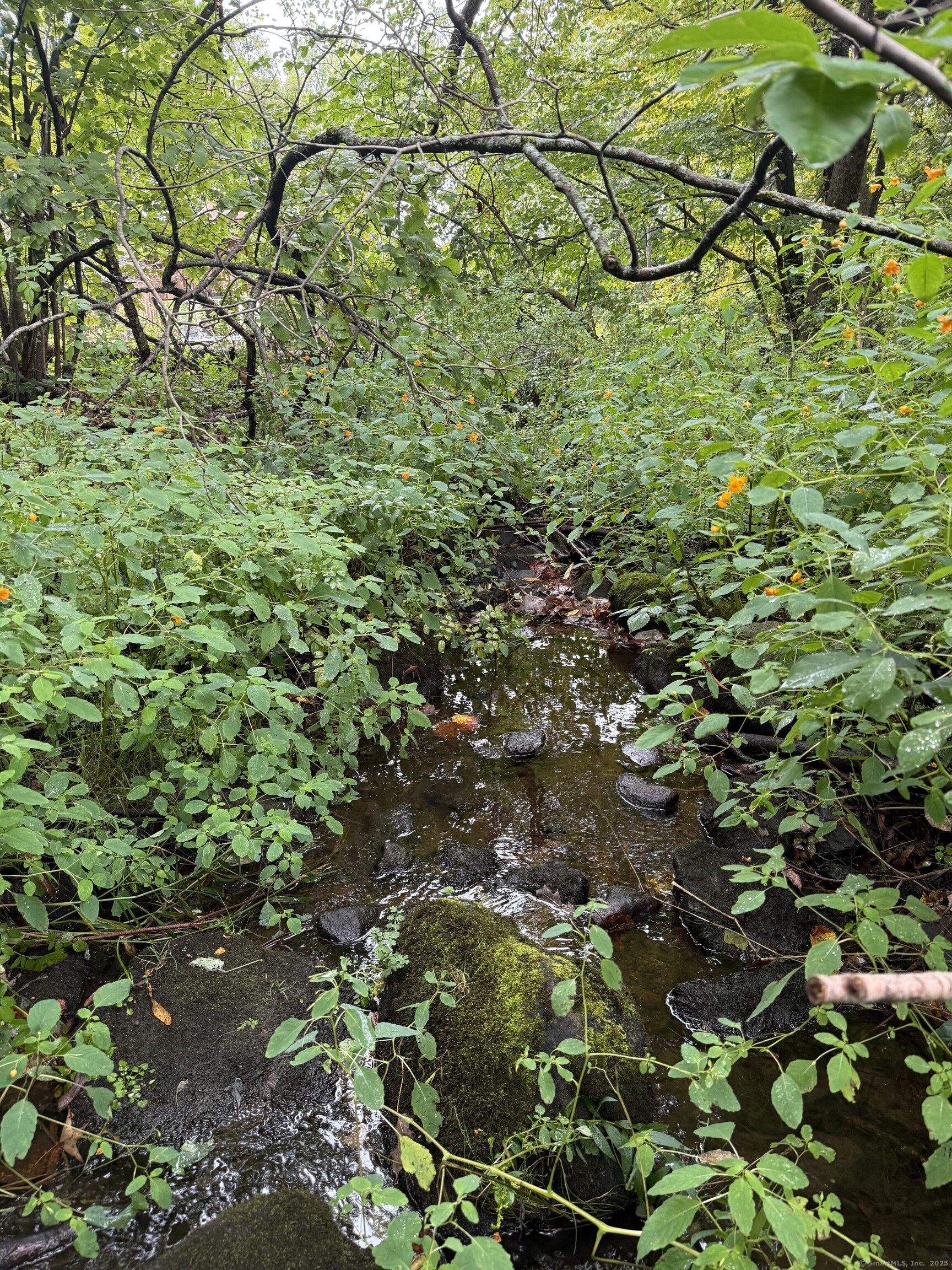 208 S Road New Hartford, CT 06057 - Photo 4 of 10 a view of a tree