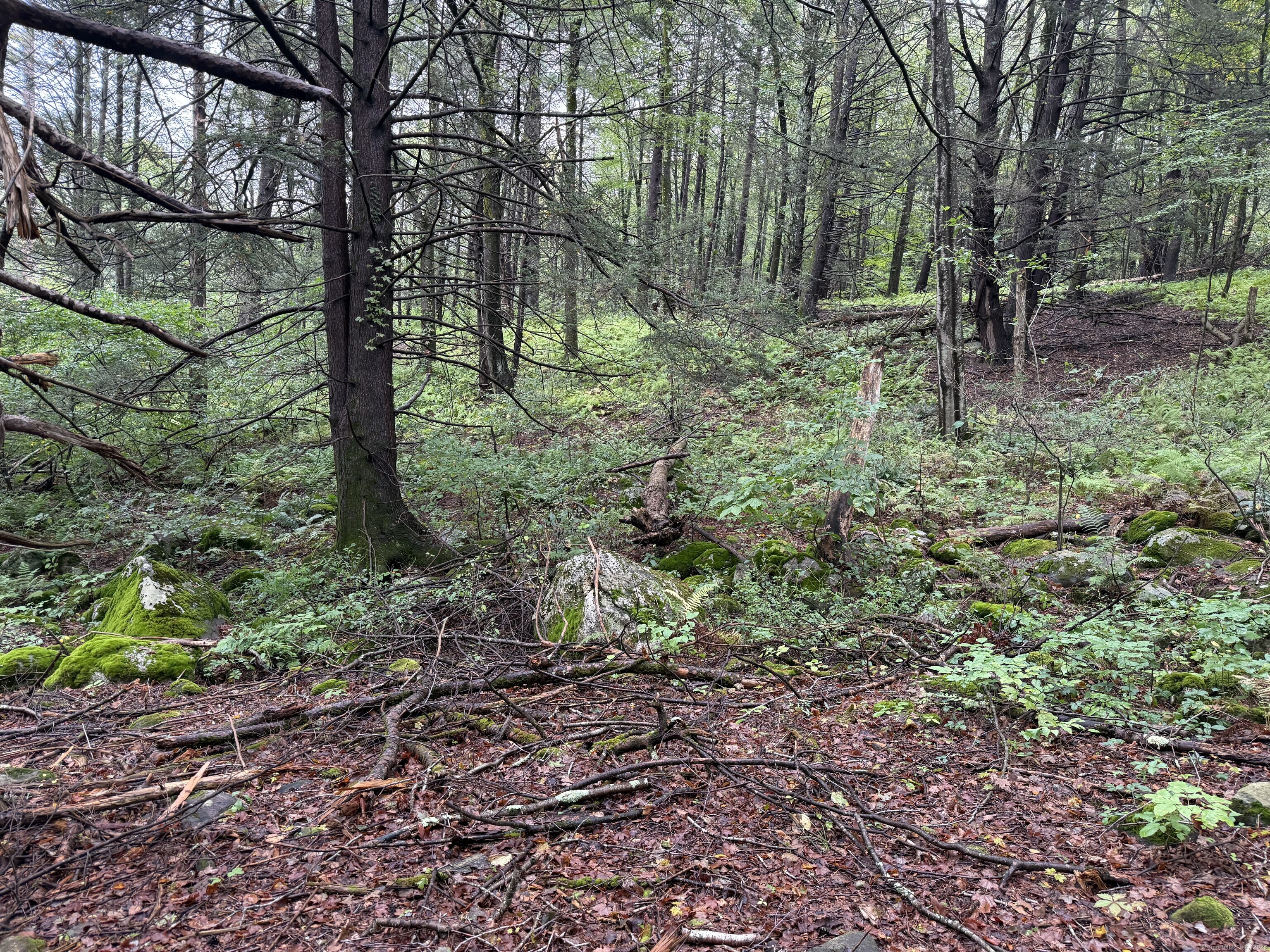 208 S Road New Hartford, CT 06057 - Photo 5 of 10 a backyard of a house with lots of green space