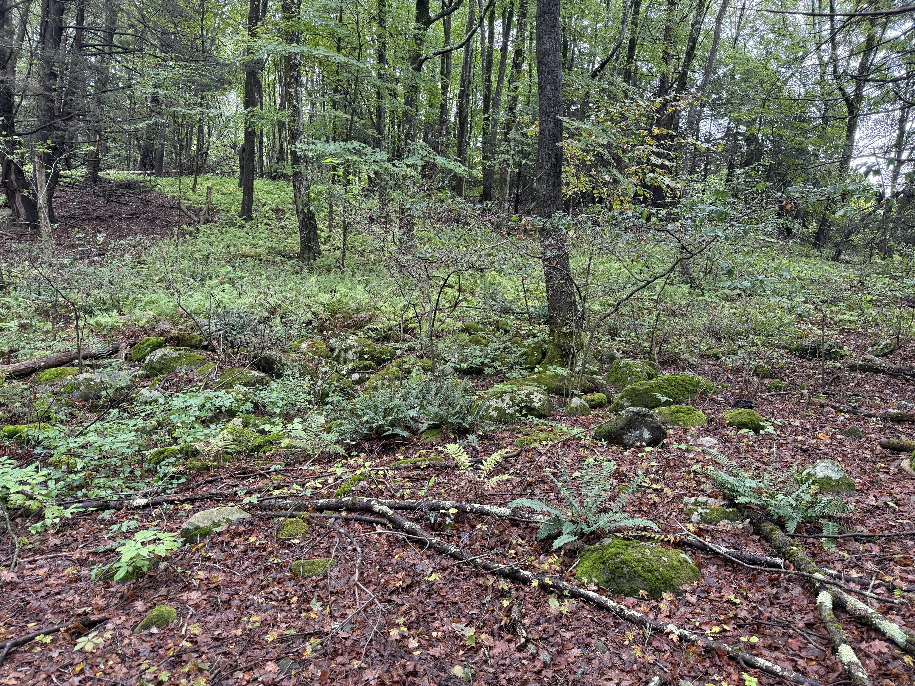 208 S Road New Hartford, CT 06057 - Photo 6 of 10 a view of yard