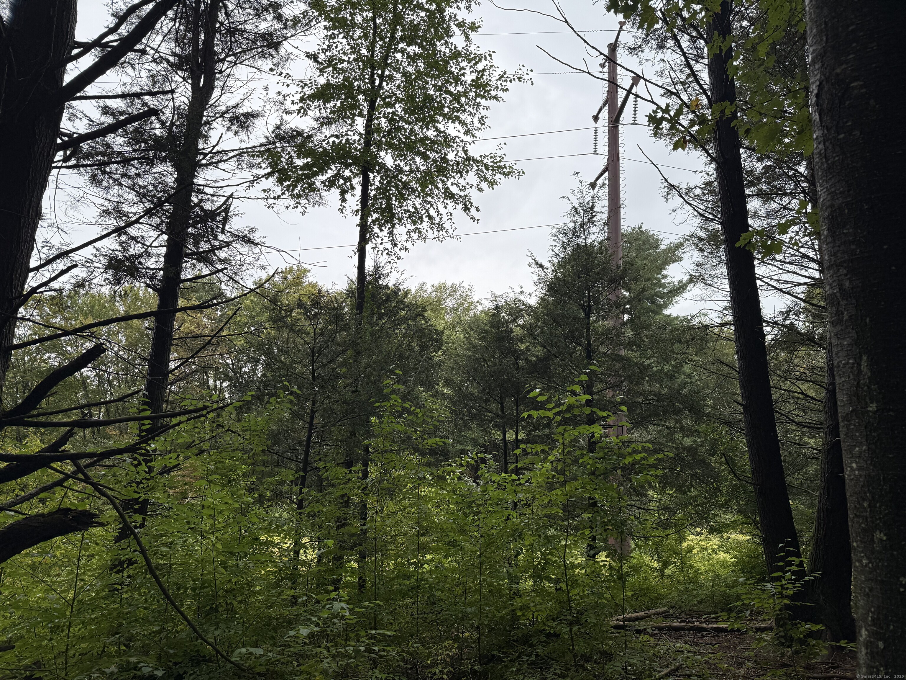 208 S Road New Hartford, CT 06057 - Photo 7 of 10 a view of a trees