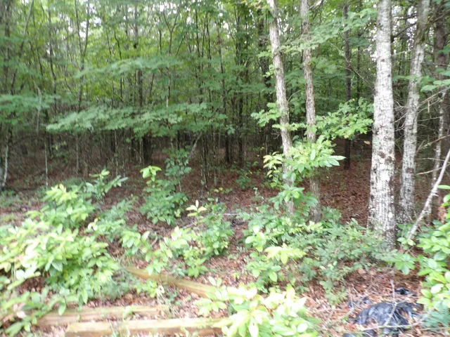 $39,000 | 0 Greenfields Road, Spencer, TN 38585