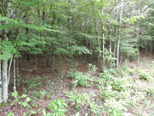 $39,000 | 0 Greenfields Road, Spencer, TN 38585