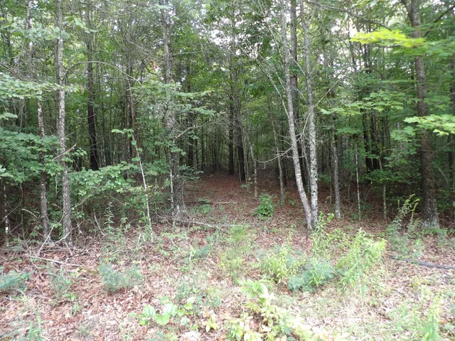 $39,000 | 0 Greenfields Road, Spencer, TN 38585