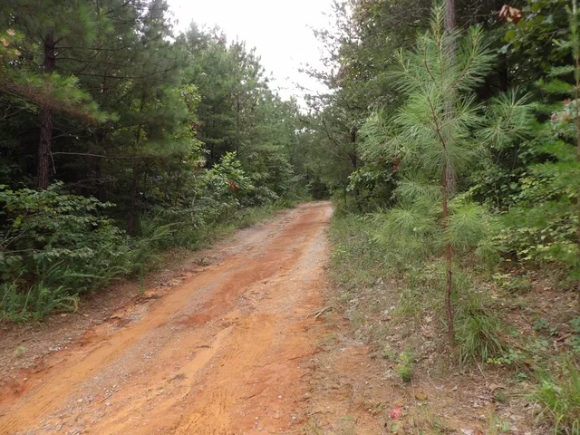 $39,000 | 0 Greenfields Road, Spencer, TN 38585