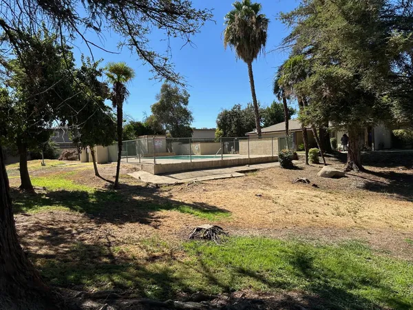 a view of a park with large trees