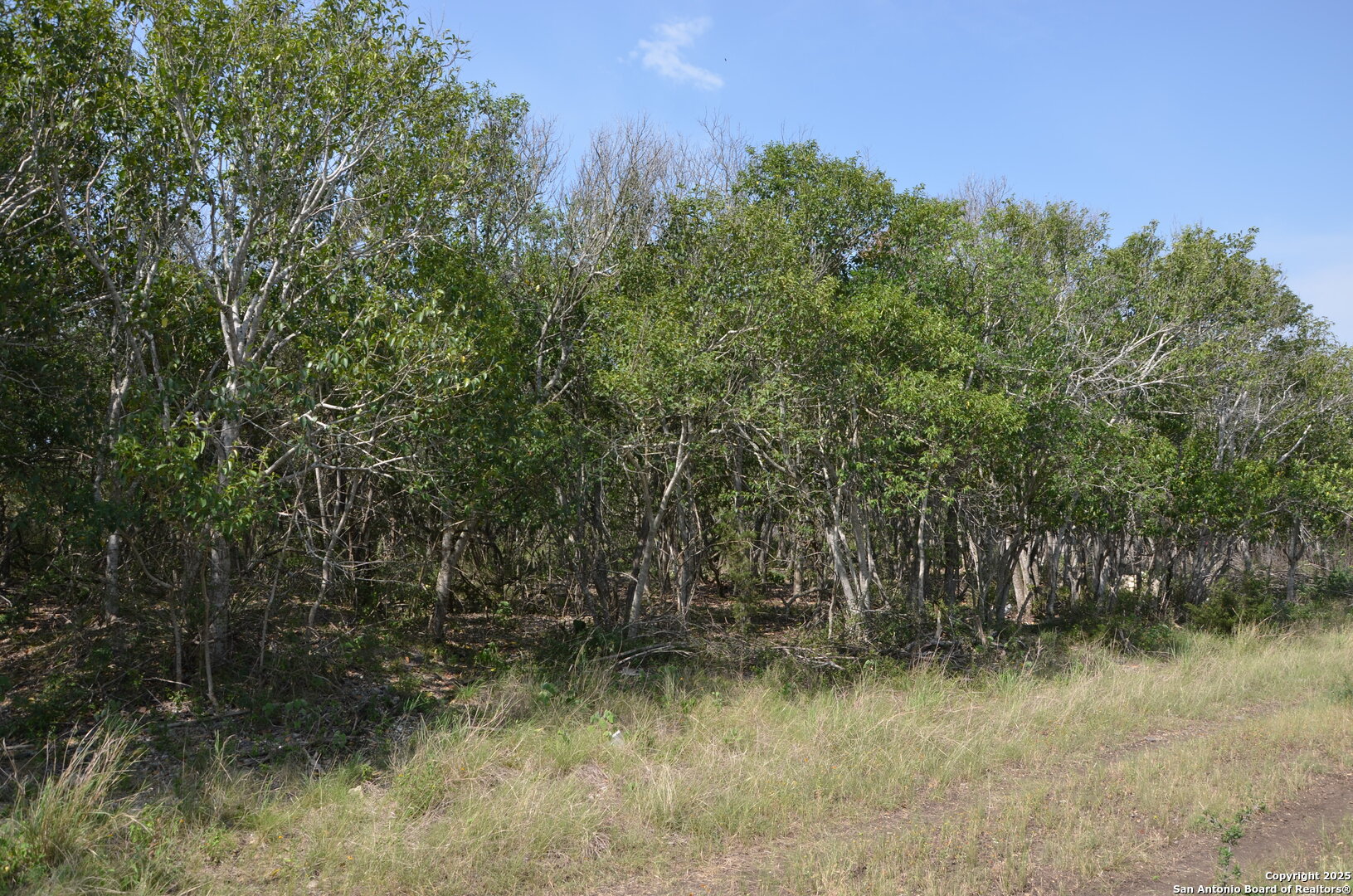 25 Wesp Way San Antonio, TX 78233 - Photo 2 of 4 a view of a lake view