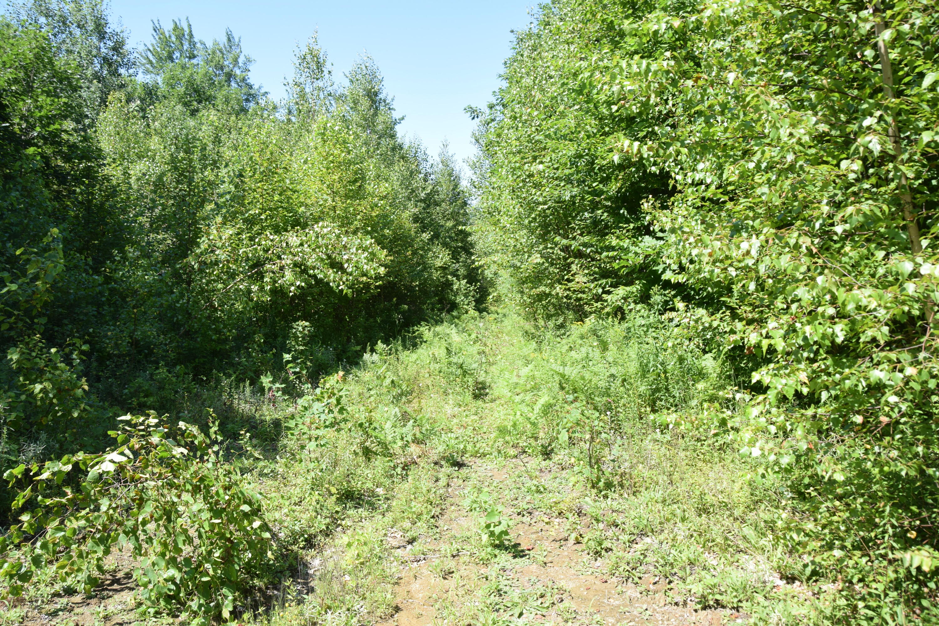 M9-l2 River Road Madison, ME 04950 - Photo 2 of 24 DSC_0004