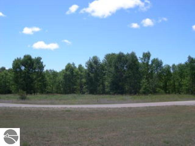 Lot 17 West Harbor Ridge Maple City, MI 49664 - Photo 5 of 15 1682745-4.JPG