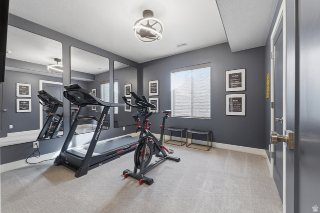2559 West Aurora Avenue Mapleton, UT 84664 - Photo 45 of 60 Dedicated fitness space featuring wall-mounted mirrors, neutral carpeting, a ceiling-mounted light fixture, and a window with blinds
