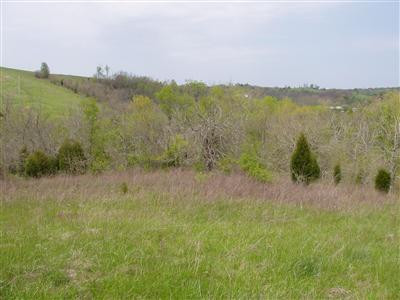536 Convict Road Sharpsburg, KY 40374 - Photo 6 of 15 Photo 6