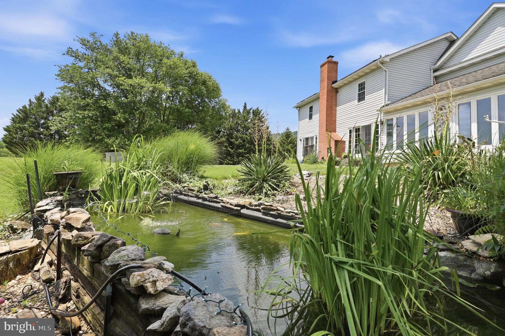 325 East Mountain Road Knoxville, MD 21758 - Photo 50 of 54 Koi Pond